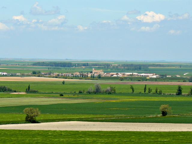 MENESES DE CAMPOS