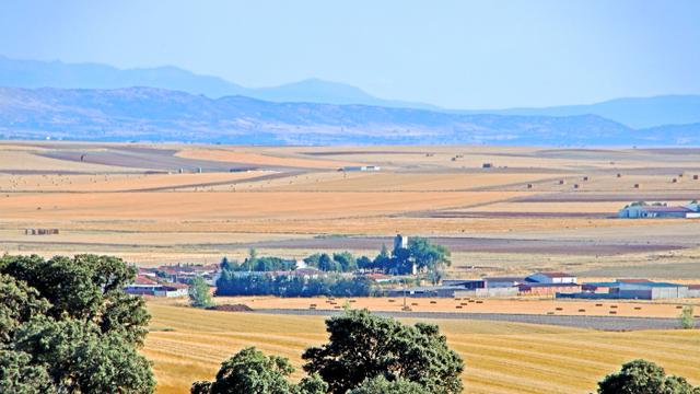 PEDROSILLO DE ALBA
