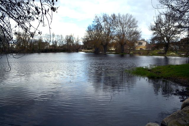 SANCHÓN DE LA RIBERA