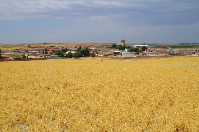BOBADILLA DEL CAMPO